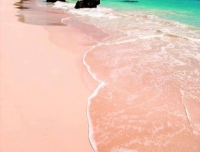 Pink Sand Beach, Bermuda