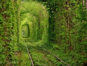 tunnel-of-love-22